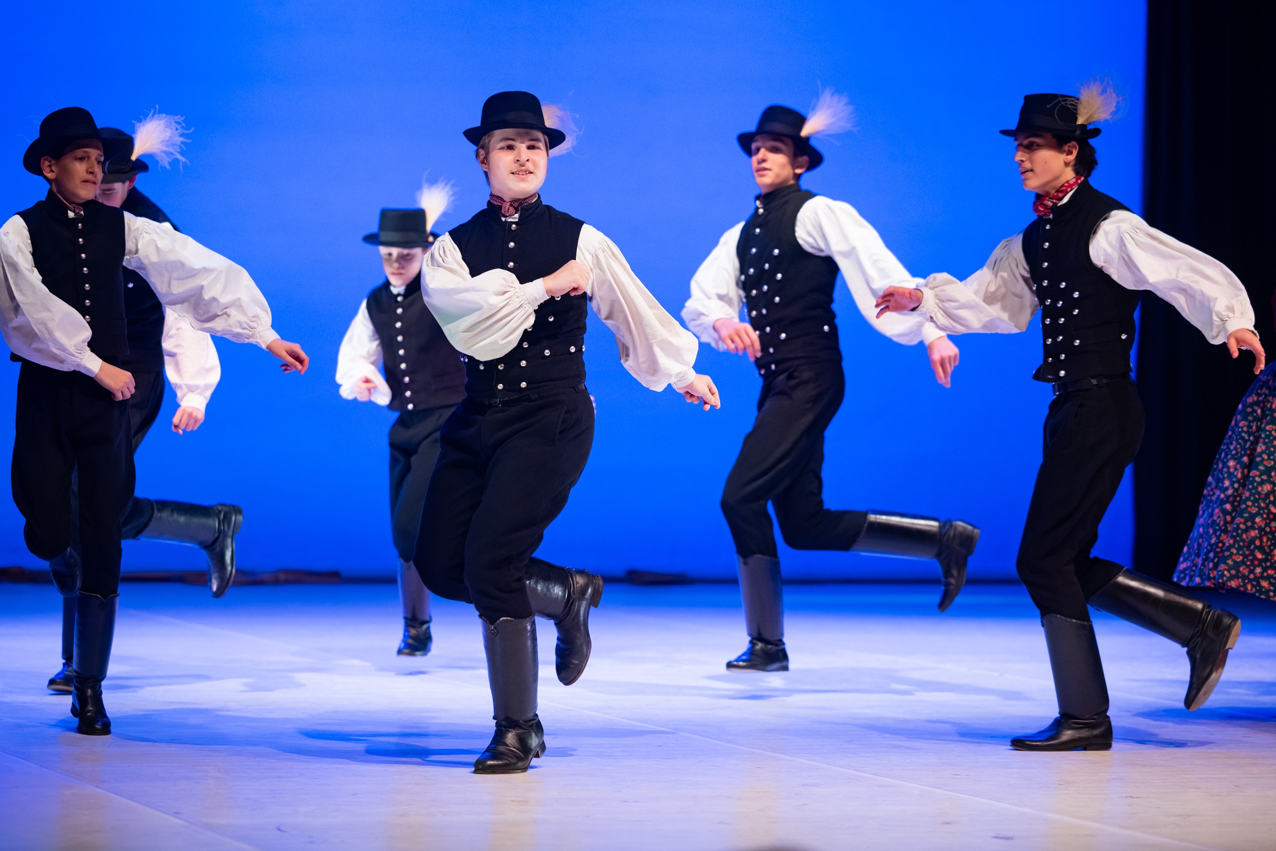 DT kulturális program