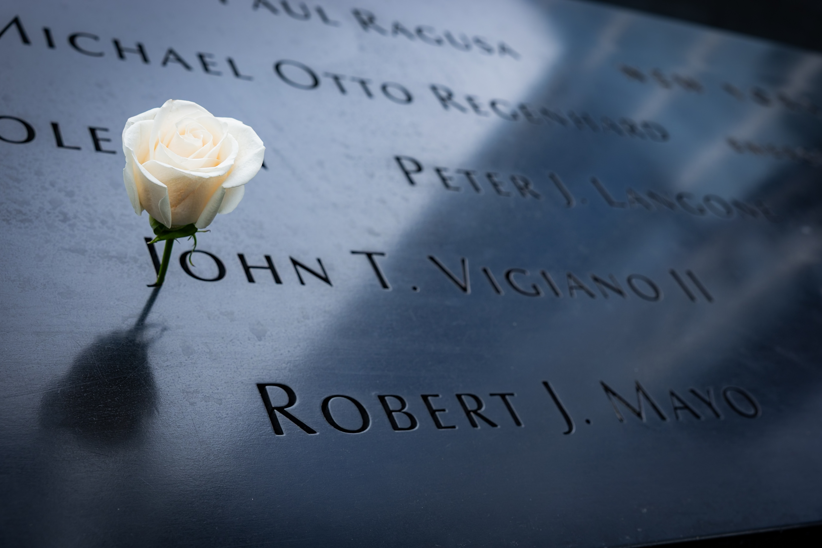 Ground Zero