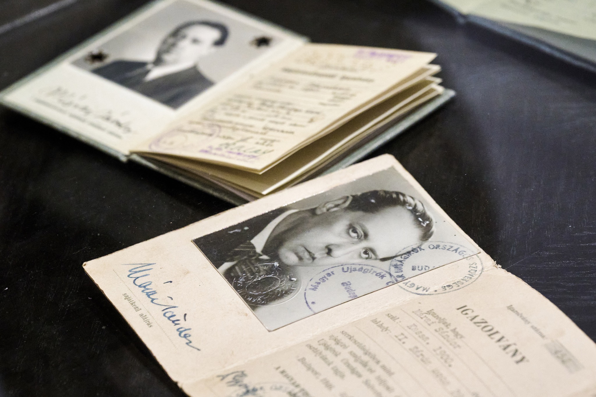 Felvidék Kassa Márai kiállítás